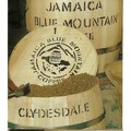 Clydesdale Jamaica Blue Mountain Coffee