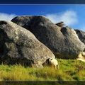 Elephant Rocks @ Duntroon