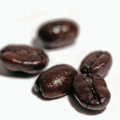 咖啡豆版型