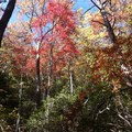 2012.10.20 Amicalola Falls State Park 
