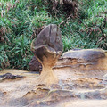 這種長得有點像蘑菇，到處都有的石頭，叫做蕈狀岩。