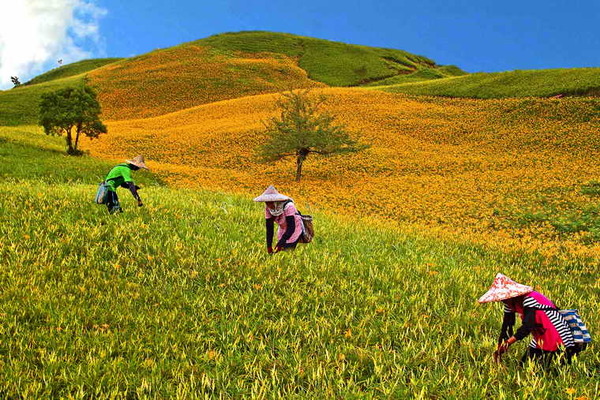 花蓮七星潭,花蓮飯店,花蓮住宿,七星潭住宿 花蓮七星潭住宿飯店推薦,和昇旭日會館是擁有花蓮七星潭面海第一排歐式觀海房飯店,迎接花蓮海景日出的住宿首選!花蓮七星潭渡假飯店-和昇旭日會館不分平假日皆享超值優惠!