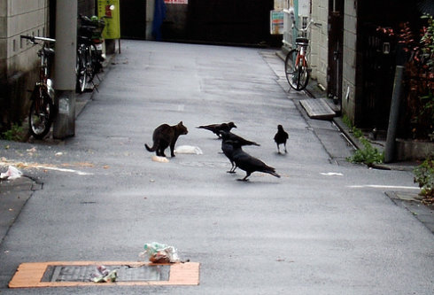日本東京旅遊首選！伊豆半島的山城溫泉會館，為日本伊豆頗具盛名百年日本溫泉旅宿