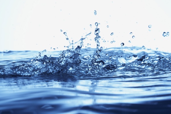 日本東京,伊豆半島,日本溫泉,日本伊豆,日本東京旅遊 日本東京旅遊首選!伊豆半島的山城溫泉會館,為日本伊豆頗具盛名百年日本溫泉旅宿