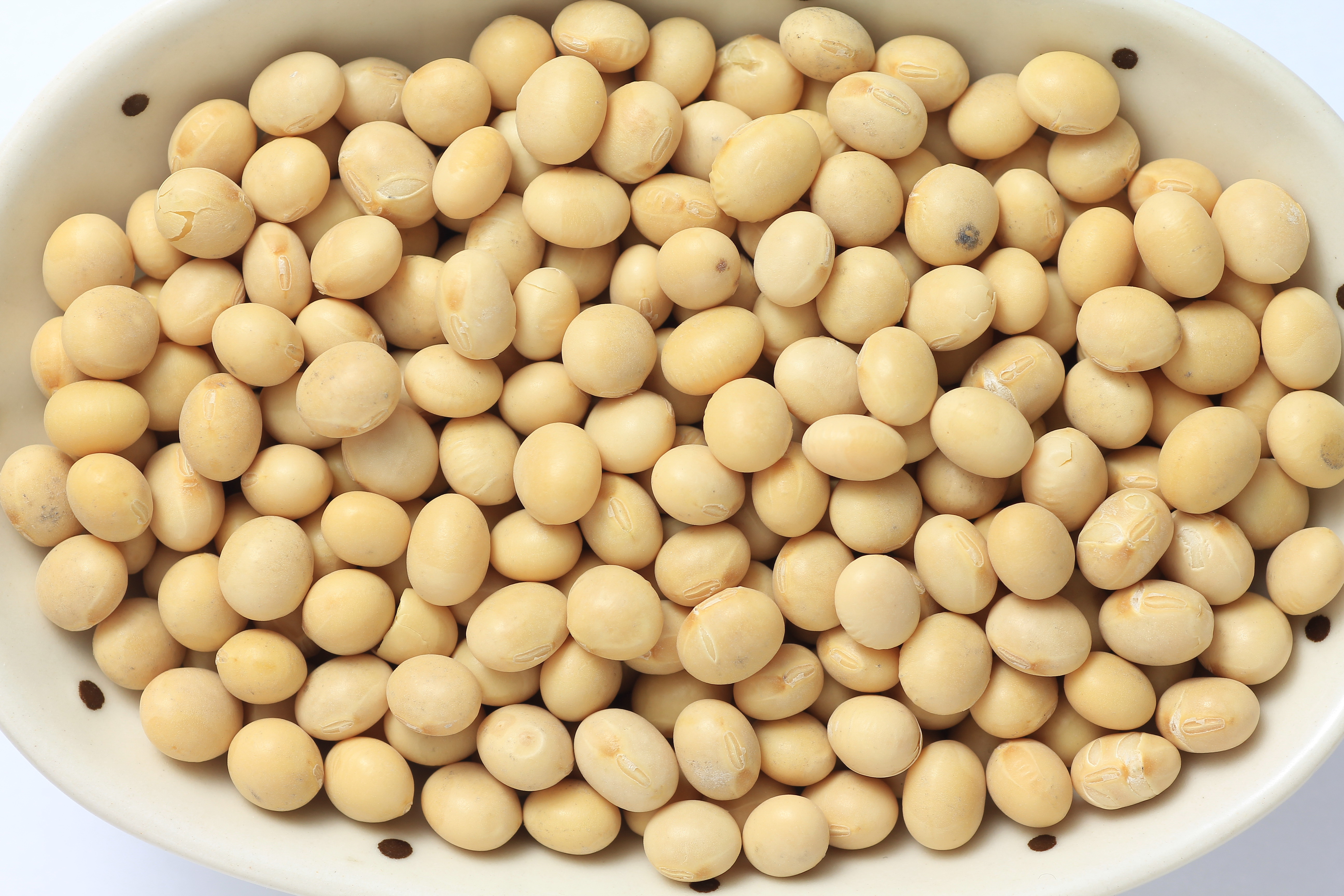 日本東京,伊豆半島,日本溫泉,日本伊豆,日本東京旅遊 日本東京旅遊首選!伊豆半島的山城溫泉會館,為日本伊豆頗具盛名百年日本溫泉旅宿