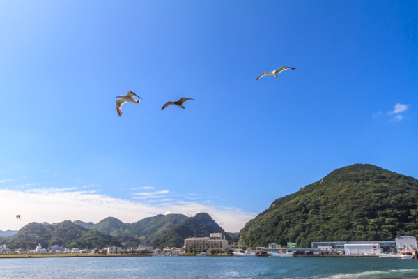 日本東京旅遊首選！伊豆半島的山城溫泉會館，為日本伊豆頗具盛名百年日本溫泉旅宿