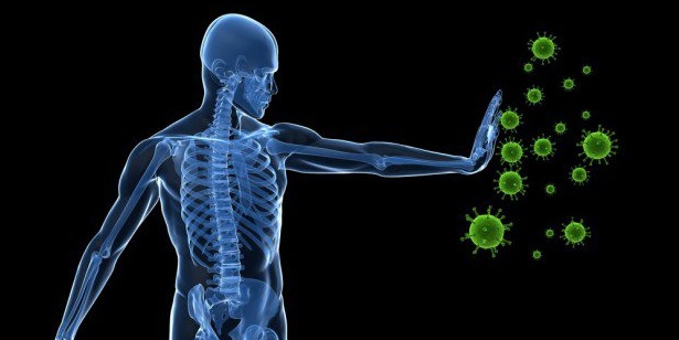 日本東京,伊豆半島,日本溫泉,日本伊豆,日本東京旅遊 日本東京旅遊首選!伊豆半島的山城溫泉會館,為日本伊豆頗具盛名百年日本溫泉旅宿