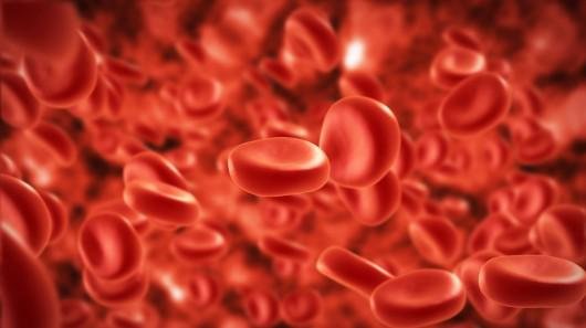 日本東京旅遊首選！伊豆半島的山城溫泉會館，為日本伊豆頗具盛名百年日本溫泉旅宿