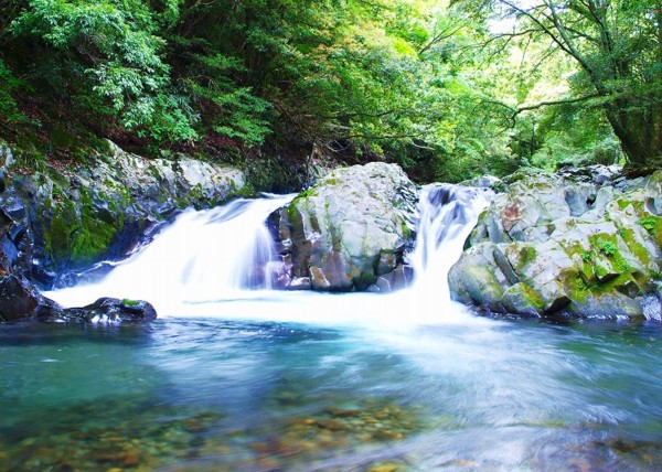 日本東京旅遊首選！伊豆半島的山城溫泉會館，為日本伊豆頗具盛名百年日本溫泉旅宿