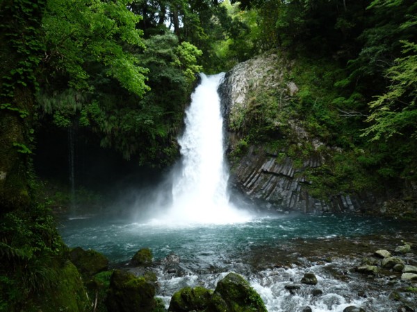 日本東京旅遊首選！伊豆半島的山城溫泉會館，為日本伊豆頗具盛名百年日本溫泉旅宿