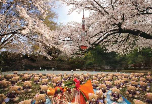 日本東京,伊豆半島,日本溫泉,日本伊豆,日本東京旅遊 日本東京旅遊首選!伊豆半島的山城溫泉會館,為日本伊豆頗具盛名百年日本溫泉旅宿