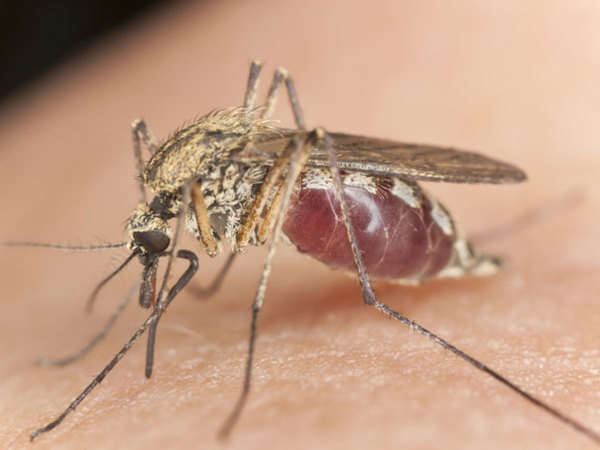 日本東京,伊豆半島,日本溫泉,日本伊豆,日本東京旅遊 日本東京旅遊首選!伊豆半島的山城溫泉會館,為日本伊豆頗具盛名百年日本溫泉旅宿