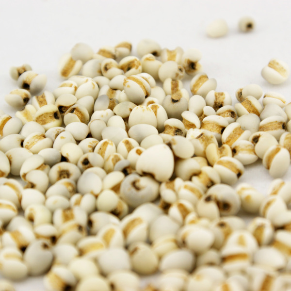 日本東京旅遊首選！伊豆半島的山城溫泉會館，為日本伊豆頗具盛名百年日本溫泉旅宿