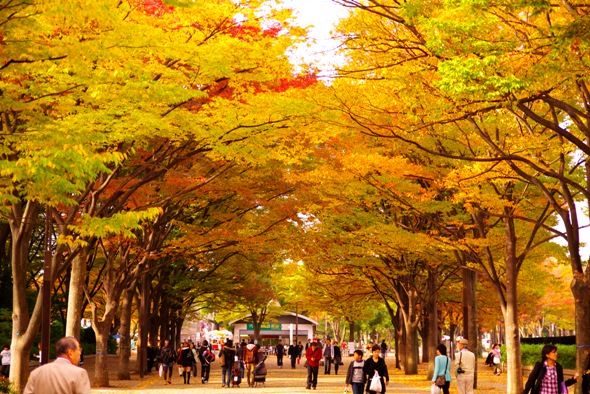 日本東京旅遊首選！伊豆半島的山城溫泉會館，為日本伊豆頗具盛名百年日本溫泉旅宿