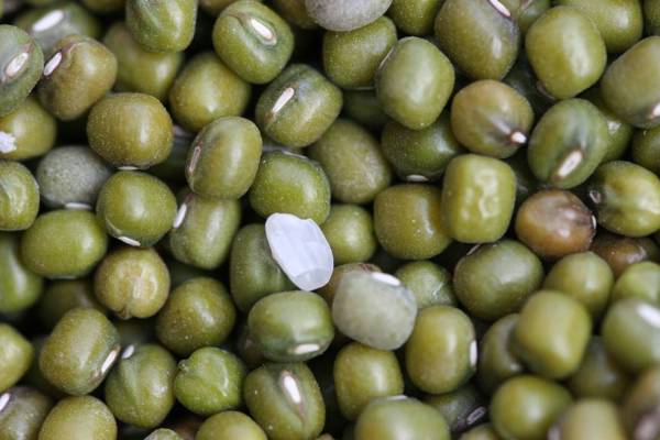 日本東京旅遊首選！伊豆半島的山城溫泉會館，為日本伊豆頗具盛名百年日本溫泉旅宿