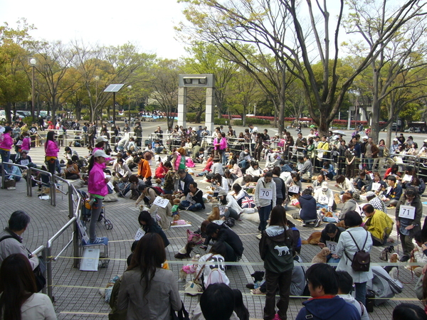 日本東京旅遊首選！伊豆半島的山城溫泉會館，為日本伊豆頗具盛名百年日本溫泉旅宿