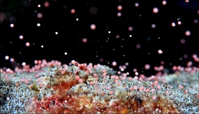 墾丁民宿推薦，七大主題親子遊樂園區，讓旅人擁有意猶未盡墾丁飯店墾丁住宿體驗！