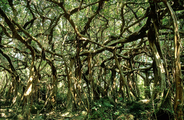 墾丁民宿推薦，七大主題親子遊樂園區，讓旅人擁有意猶未盡墾丁飯店墾丁住宿體驗！