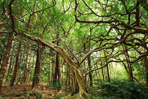 墾丁民宿推薦，七大主題親子遊樂園區，讓旅人擁有意猶未盡墾丁飯店墾丁住宿體驗！