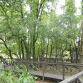 羅東林業文化園區