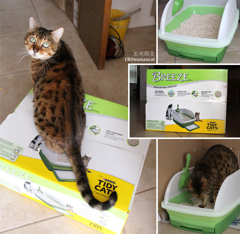 purina,tidy cats,tidycats,breeze,litter,貓砂,砂盆,貓奴,貓咪,便盆