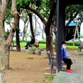 興化公園
