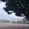 中興新村