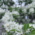 科博館
