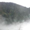 溪頭的雲霧