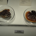科博館