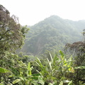 霧峰林家花園