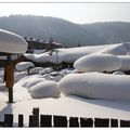 107東北冰雪奇緣(四)