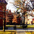 the Crimson Campus.