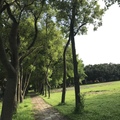 20190609大東國小濕地公園步道