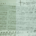 Chopin Nocturne Op.9 No.2 表情的兩片葉子