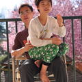 20120331 春暖，櫻花開 - 4