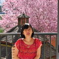 20120331 春暖，櫻花開 - 11
