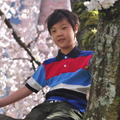 20120331 春暖，櫻花開 - 85