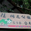 2013-4-28-土城-承天禪寺-油桐花