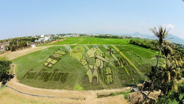 2016屏東彩稻生活節有機米可愛圖案