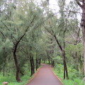 台東森林公園