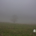 437.雲霧中的中華福壽山 - 25