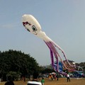 超大章魚風箏