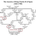 西班牙哈布斯堡(Habsburg Spain，1506~1700)王室婚姻關係示意圖