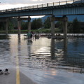 The street at the junction of Shuswap Lake and Mara Lake was overwhelming~~  