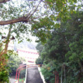 土城大暖路春賞2012