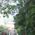 土城大暖路春賞2012