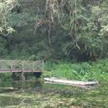 橋與竹筏