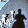 寶貝們和我的影子4