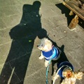 狗寶貝和我的影子